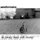 Ambrosia - the journey begins with curiosity